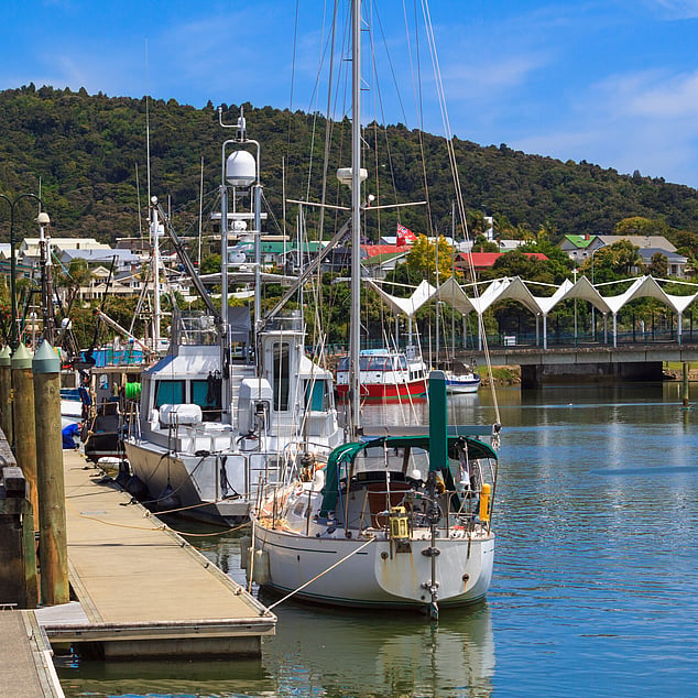 Boats docked in the Whangarei Marina
