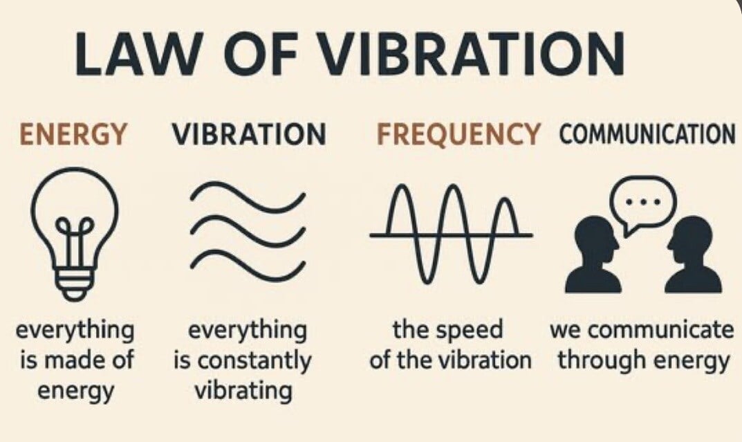 law of vibration deutsch vibrations halsband hund