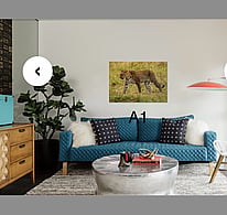 A1 landscape photo on the wall, placed over a couch