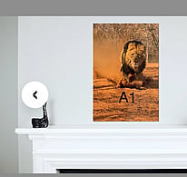 A1 portrait photo on the wall above a fireplace