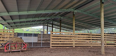 Covered deer yards