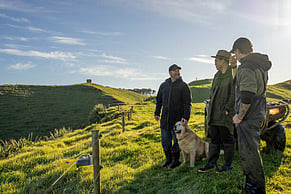 The Stuff That Trips Farms Up: 3 Recent Real-World Employment Reminders