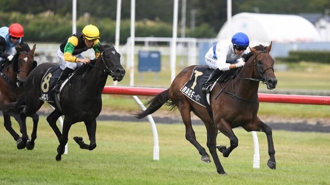 Group One winner Savaglee. - Photo: Peter Rubery (Race Images)