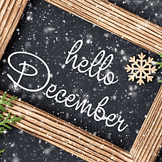 December 2025 Newsletter