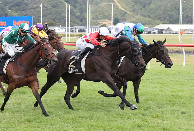 Fairy Dream (centre) winning the Gr.3 NZB Desert Gold Stakes (1600m) at Trentham on Saturday.  -  Photo: Peter Rubery (Race Images)