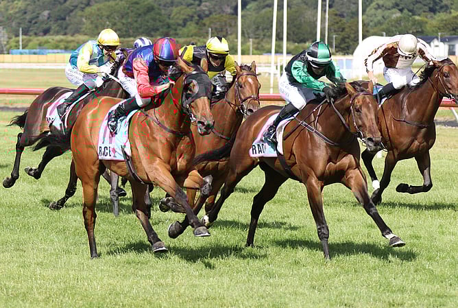 Doctor Askar (outside) winning the Gr.2 Harcourts Thorndon Mile (1600m) at Trentham on Saturday.   - Photo: Peter Rubery (Race Images)