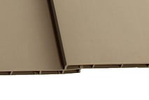 Lateral Angled View
