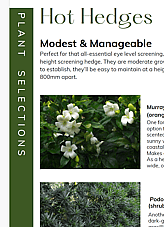 Hedge plants and written text on using hedges as garden privacy screens