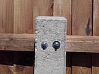 Fencing Repairs