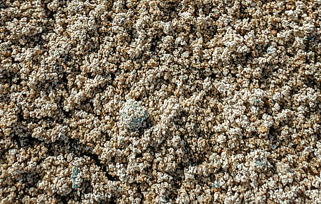 Freshwater Coarse