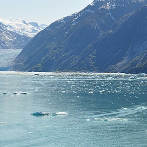 Complex Trauma and PTSD