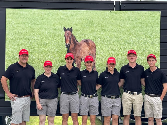 Spanning multiple generations, famed Southern nursery Inglewood Stud features prominently at New Zealand’s 100th National Yearling Sale. - Photo Supplied.