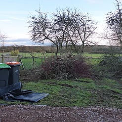 Image shows the garden later in the winter months (early 2018).  Most of the shrubs have been removed and the trees pruned back.