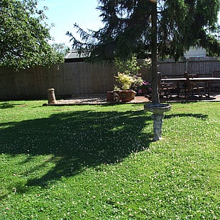 The garden in its original state