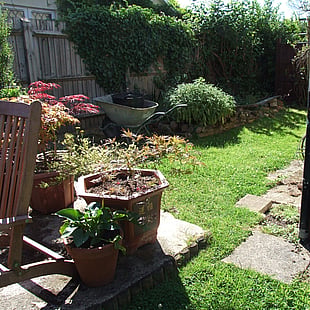 Awaitng the landscapers.