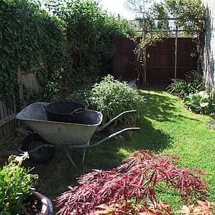 Area to be landscaped.