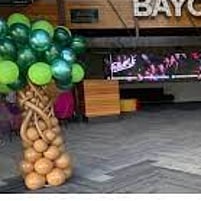 Balloon Trees | Balloon Decor Tauranga