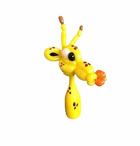 Balloon Bottle Bods Gifts | Balloons Tauranga