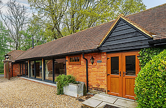 Walnut Studio