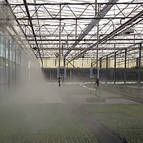 Greenhouse Misting System