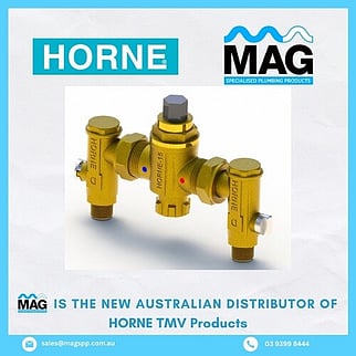 TMV Valve