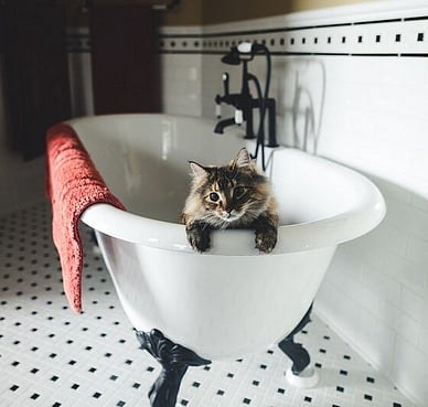 For Freestanding & Insert Baths