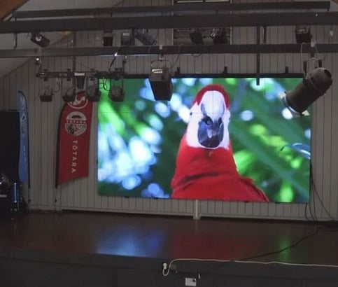 LED wall screen with large red and white bird