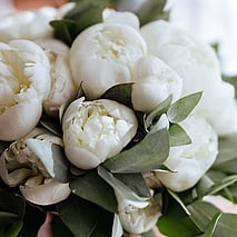 WHITE & GREEN