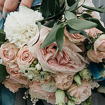 PASTELS
