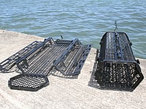Aquaculture