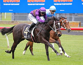Midnight Dart owners set to light up Karaka Millions night