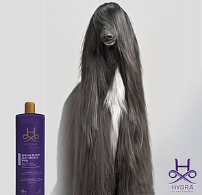 CONDITIONER
