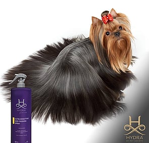 SHAMPOO