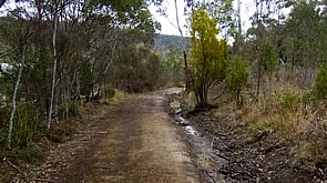 CONVICT ROAD WALK