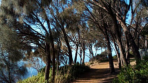 CLIFF TOP WALK