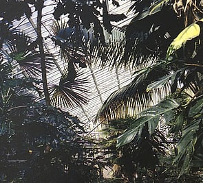 Our Prints & Gifts Shop