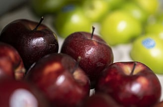 The Hungry Caterpillar, Dipton