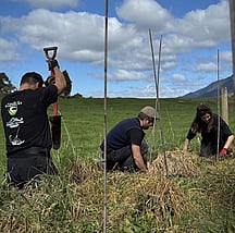 Restoration & Revegetation - OkGrow can work with you for all restoration, revegetation and riparian planting projects.  We offer advice on what plant species are best suited for your location, the amount of plants needed, maintenance and cost. For large planting projects, it would be good to order a year in advance.