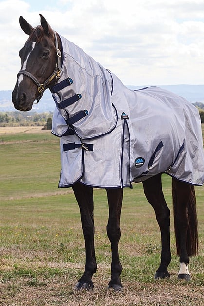 Summer Horse Covers & Bug Sheets