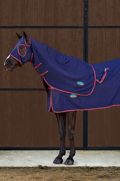 Horse Show Rugs