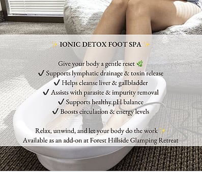 Ionic Detox Foot Spa