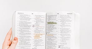 BibleInfo