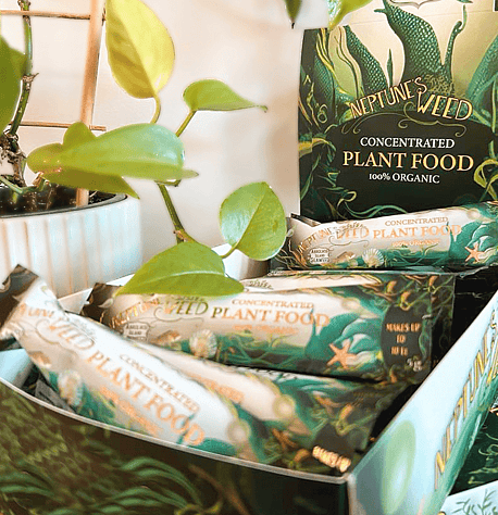 PLANT FOOD - SHOP