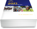 Lot 292 - SebringFaith In Hand filly-Click here