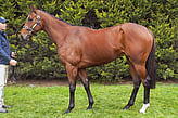 Lot163 - Cottenham-Click here