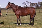 Lot 336 - I Love Friday-Click here