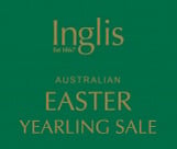 Lot 373 - VancouverKukla colt-Click here
