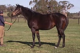 Lot 237 - Joyous Times-Click here