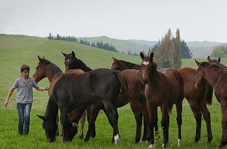 Weaning & Handling