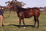 Lot 547 - Artstrum-Click here